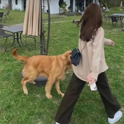 大众情性粤语